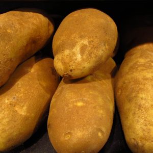 Alaska Natural Foods Fairbanks Russet Potatoes